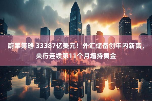 蔚莱策略 33387亿美元！外汇储备创年内新高，央行连续第11个月增持黄金