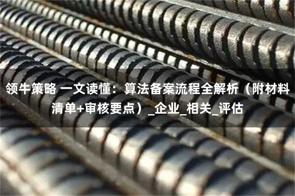 领牛策略 一文读懂：算法备案流程全解析（附材料清单+审核要点）_企业_相关_评估