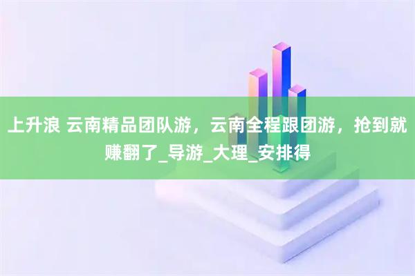 上升浪 云南精品团队游，云南全程跟团游，抢到就赚翻了_导游_大理_安排得