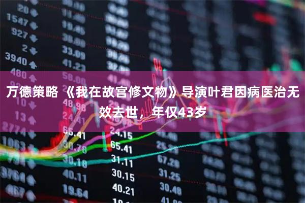 万德策略 《我在故宫修文物》导演叶君因病医治无效去世，年仅43岁